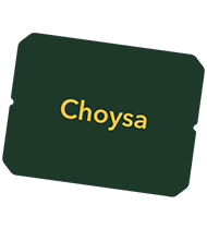 choysa-updated