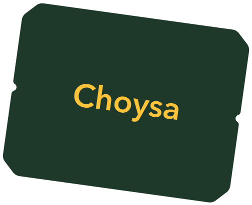 Choysa.jpg