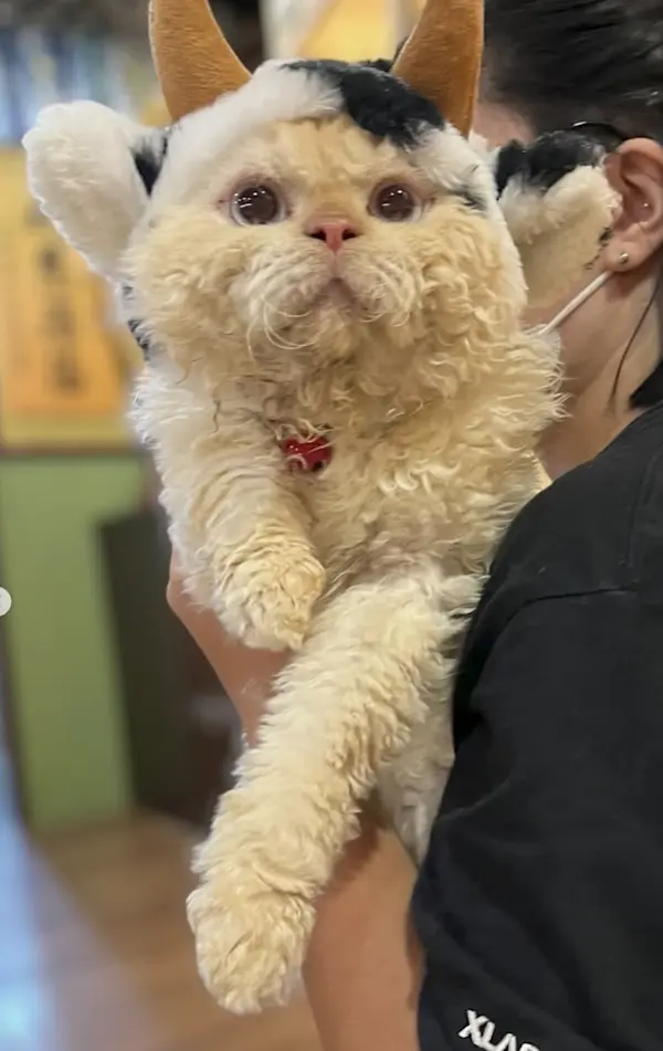 Finn 的照片