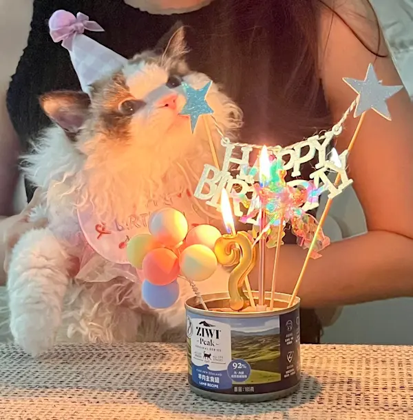 LUNA 的照片