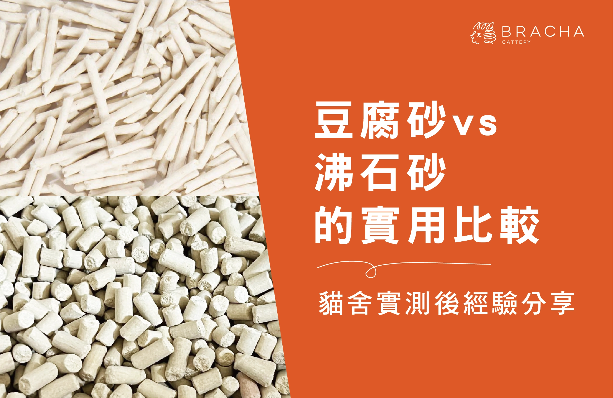 從BRACHA多年照護經驗解析：沸石砂與豆腐砂的實用比較！