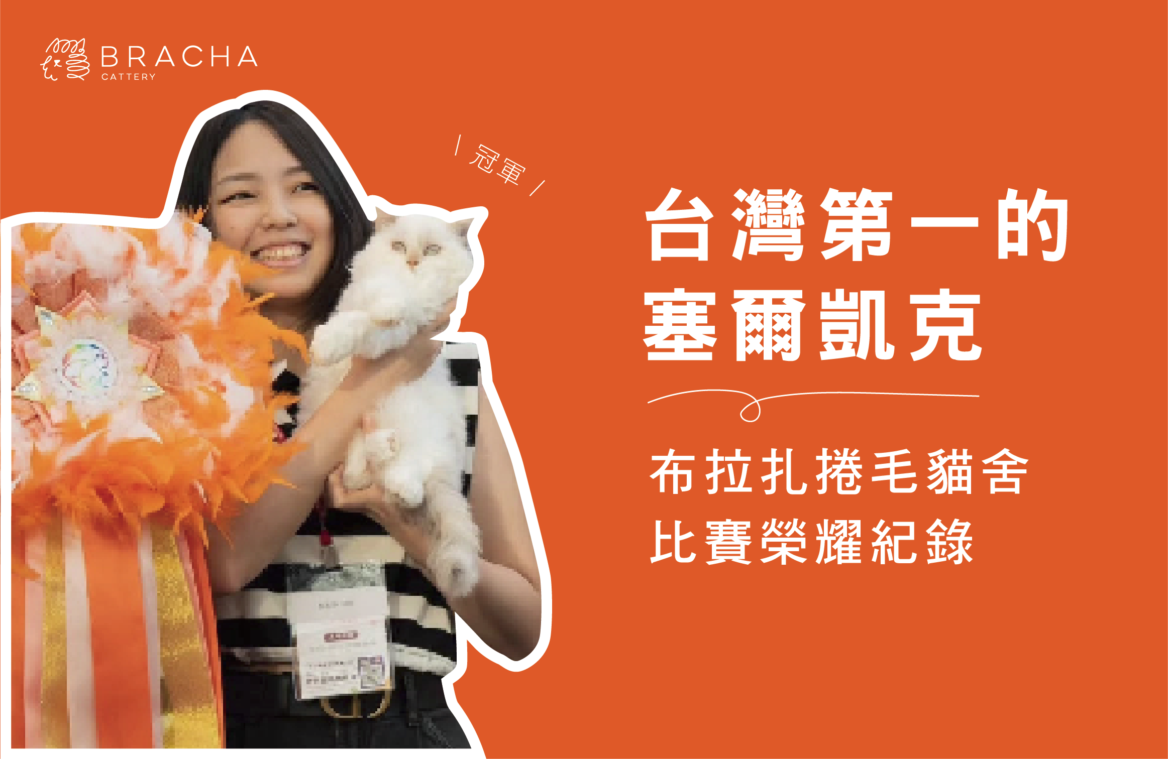 台灣第一的塞凱！布拉扎捲毛貓舍比賽榮耀紀錄