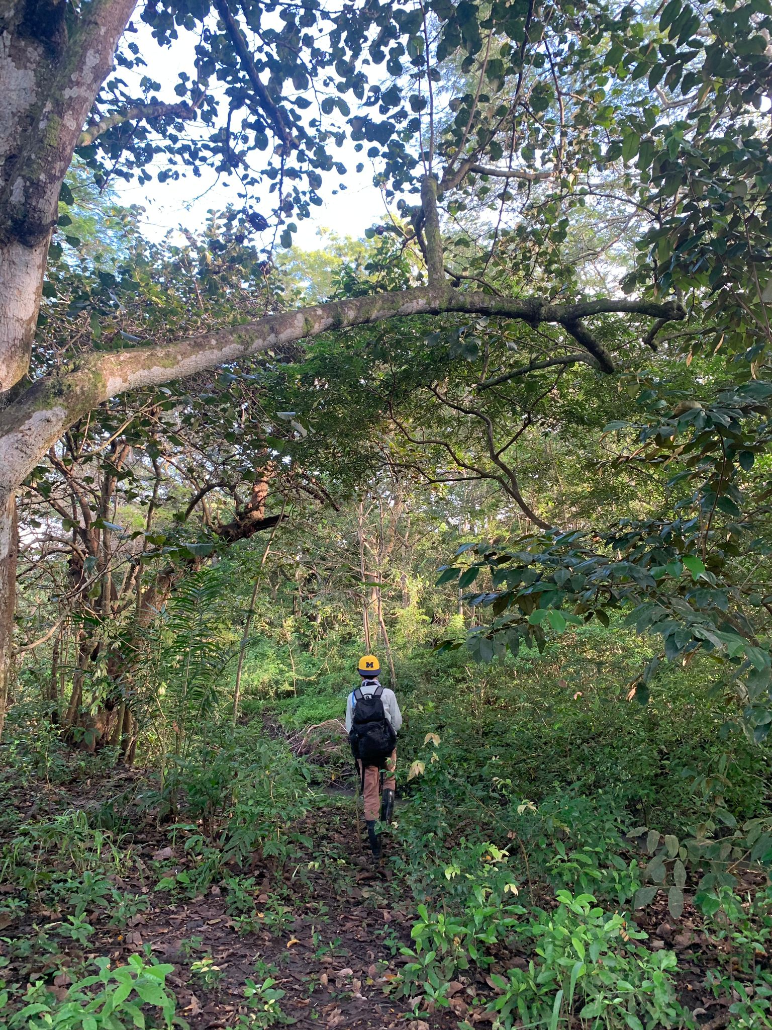 My travel to Costa Rica: ci addentriamo nel mio lavoro