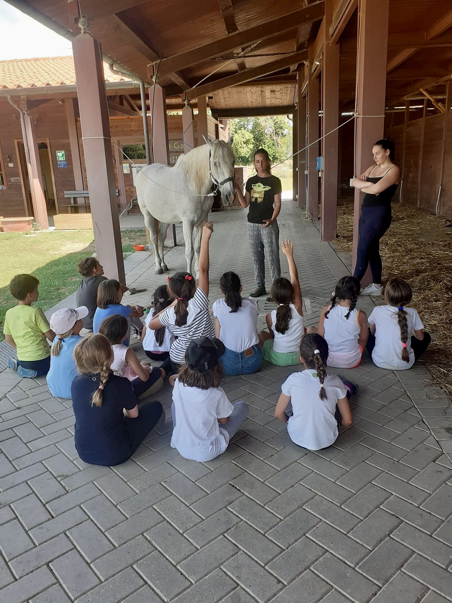 I campi solari al maneggio di San Rossore