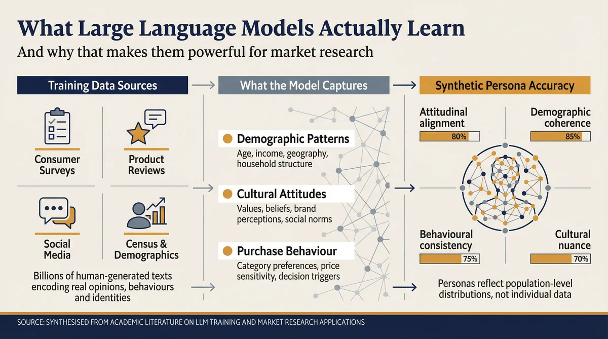 Infographic: What LLMs Actually Learn