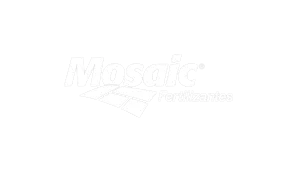 Logo Mosaic
