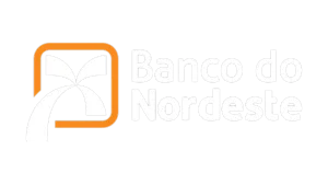 Logo Banco do Nordeste
