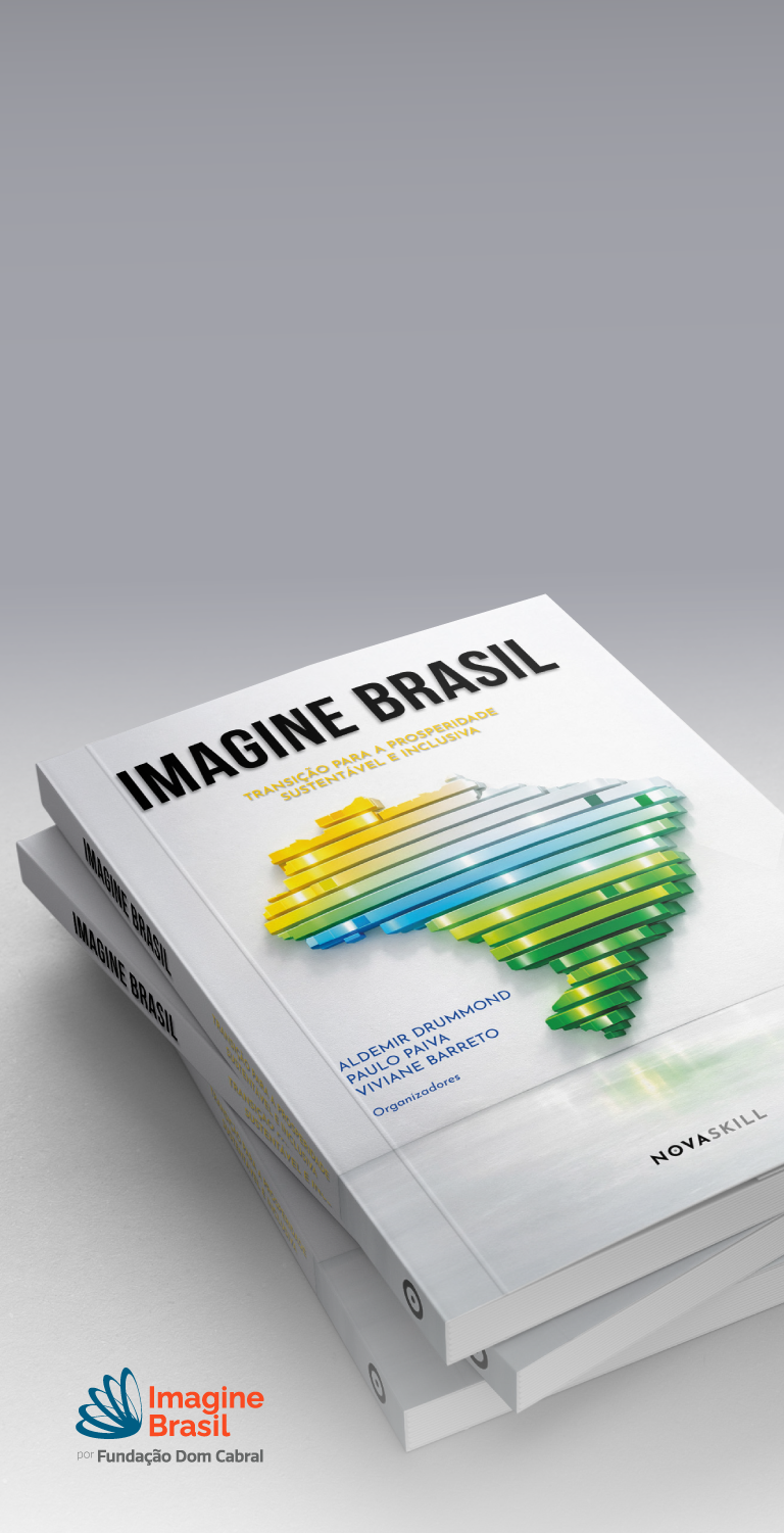Banner Livro Imagine Brasil
