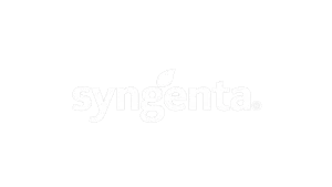 Logo Syngenta