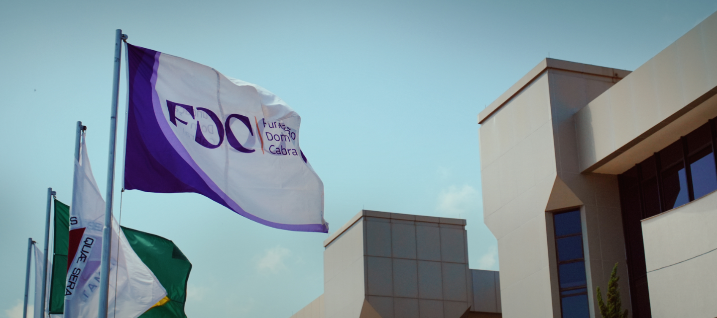 FDC (Fundação Dom Cabral) flag flying in front of a modern campus building, with the Brazilian flag and a clear blue sky in the background.