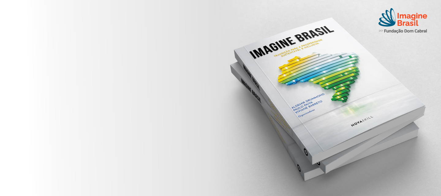 Banner Livro Imagine Brasil