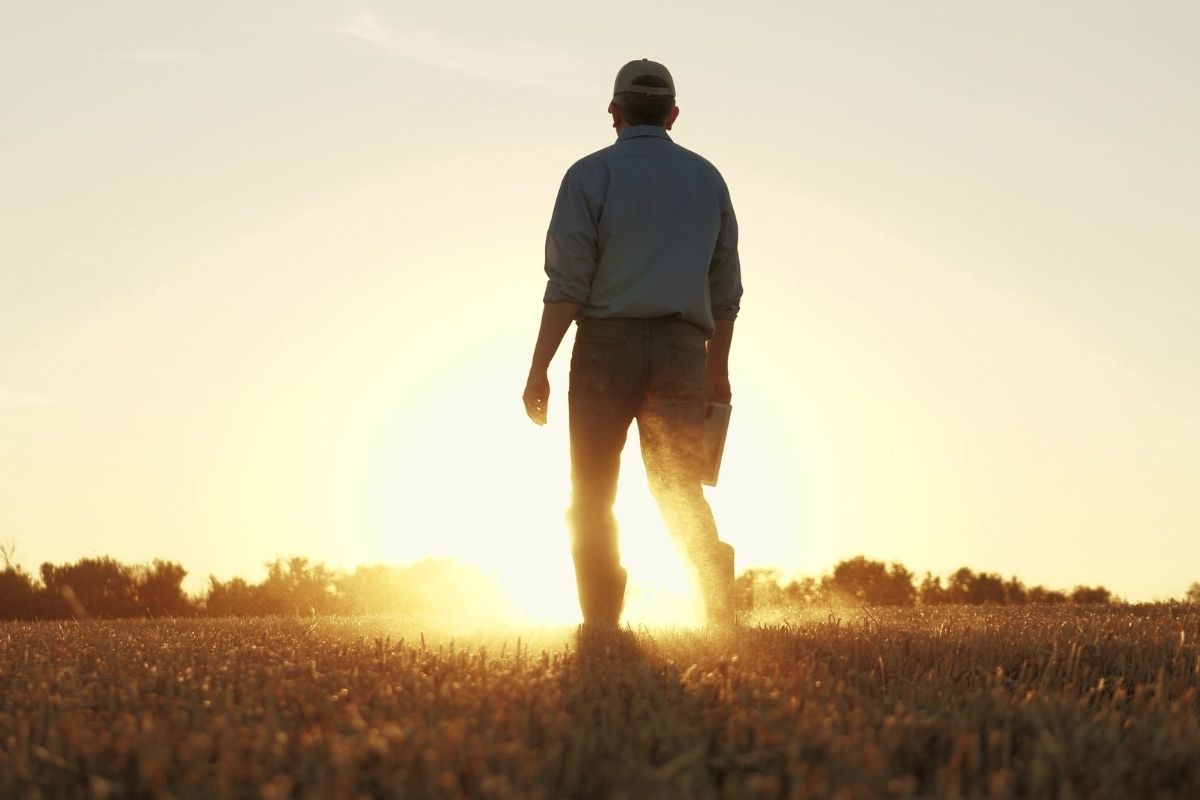 Estadão: Qual o custo do futuro? Os perigos das recentes aprovações do Congresso brasileiro no campo agroambiental