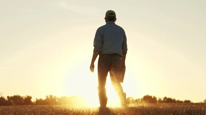 Estadão: Qual o custo do futuro? Os perigos das recentes aprovações do Congresso brasileiro no campo agroambiental