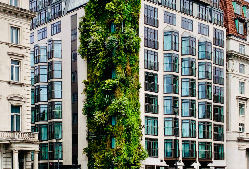 Green space in the corner of a building