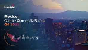 Linesight Mexico Commodities Report Q4 2022