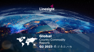 Linesight Global Commodity Reports Q2 2023