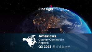 Linesight Americas Region Commodity Reports Q2 2023