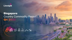 Linesight Singapore Commodities Report Q4 2022