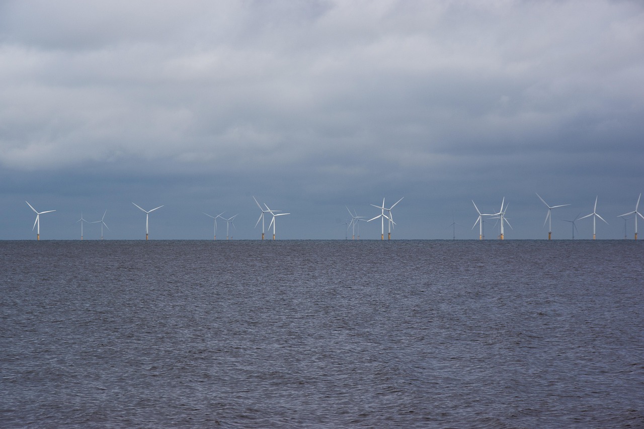 Learn about key players, market growth, and investment potential in Japan’s offshore wind sector. Explore major projects and opportunities in renewable energy.