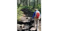 Slideshow Thumbnail 2 of 12