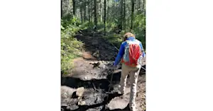 Slideshow Image Thumbnail 2 of 12