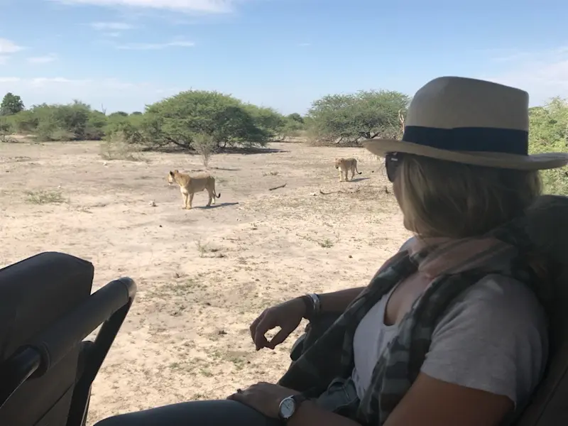 Big cats in Okavango Delta, Botswana.