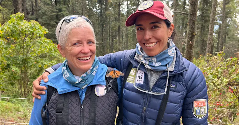 Nat Hab guest and Expedition Leader, El Rosario Butterfly Sanctuary, Angangueo, Mexico.
