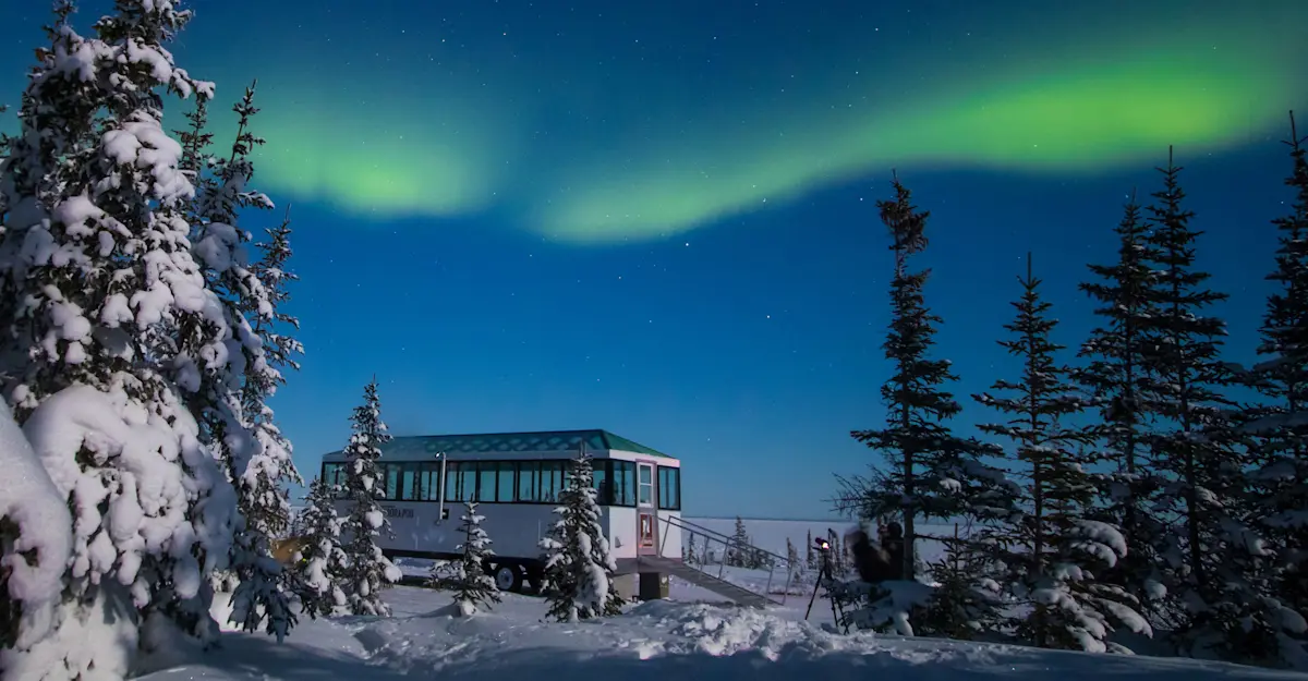 Nat Hab's Aurora Pod® amongst trees under northern lights