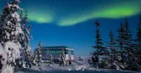 Nat Hab's Aurora Pod® amongst trees under northern lights