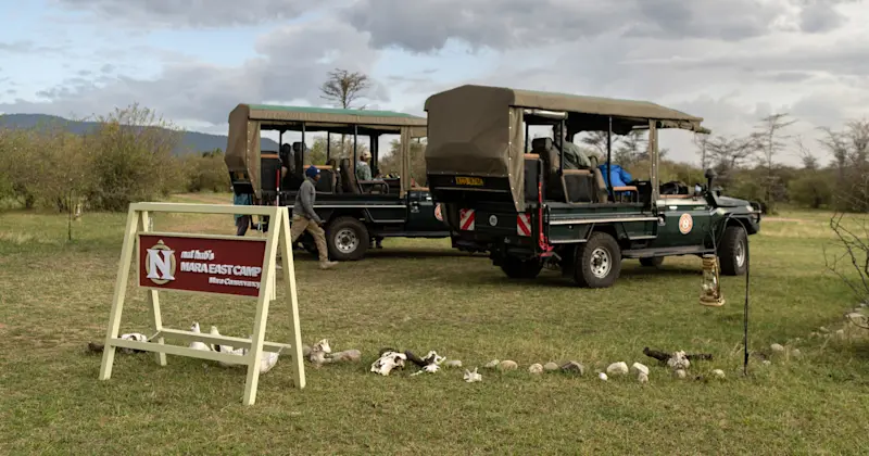 Nat Hab's Mara East Camp, Private Mara Conservancy, Kenya.