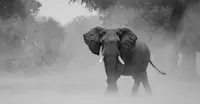 Slideshow Thumbnail 3 of 8