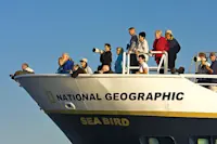 Whale watching, National Geographic Sea Bird, Baja cruises