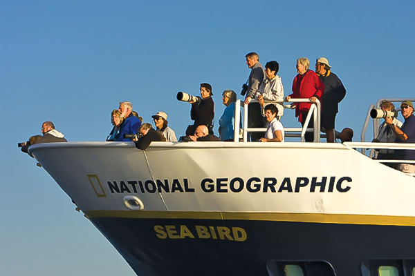 Whale watching, National Geographic Sea Bird, Baja cruises