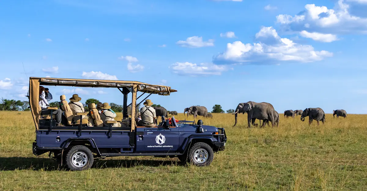 Earthwatch Expeditions guests observe elephants from Nat Hab's Safari Vehicle, Maasai Mara, Kenya.