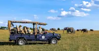 Earthwatch Expeditions guests observe elephants from Nat Hab's Safari Vehicle, Maasai Mara, Kenya.