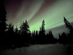 The real magic was wine in hand, watching the Northern Lights, Canada.