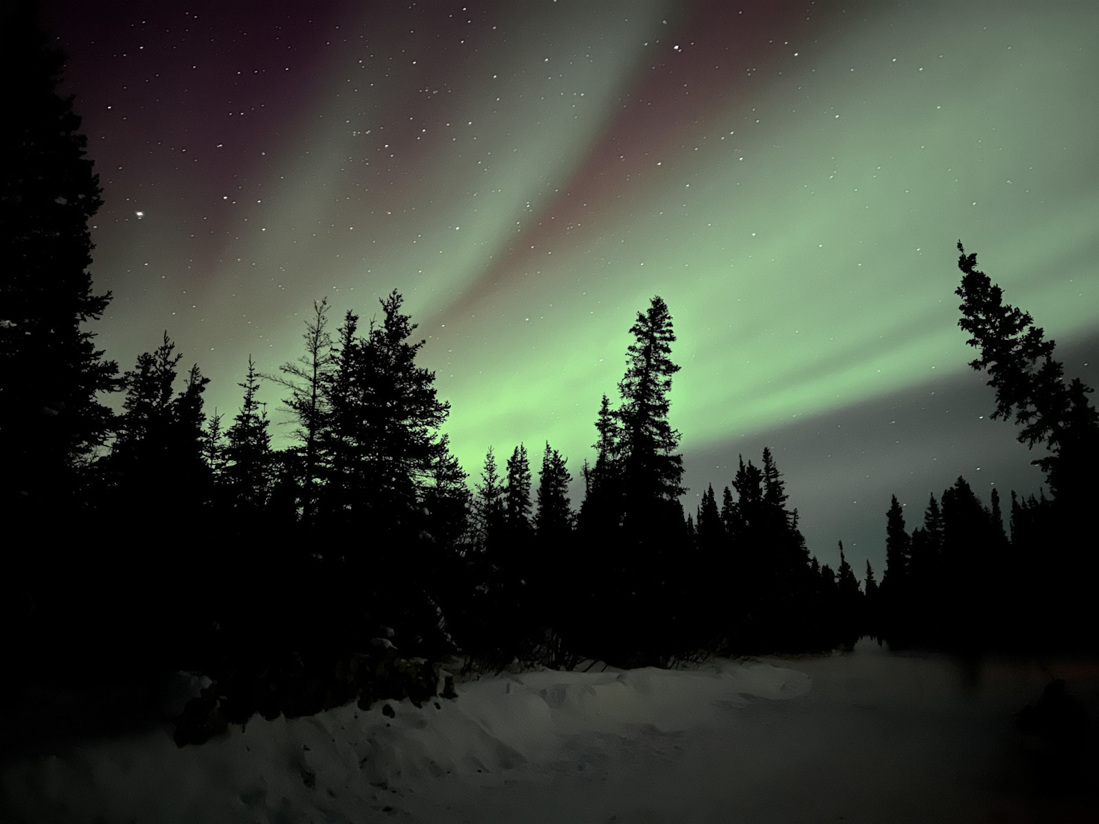 The real magic was wine in hand, watching the Northern Lights.