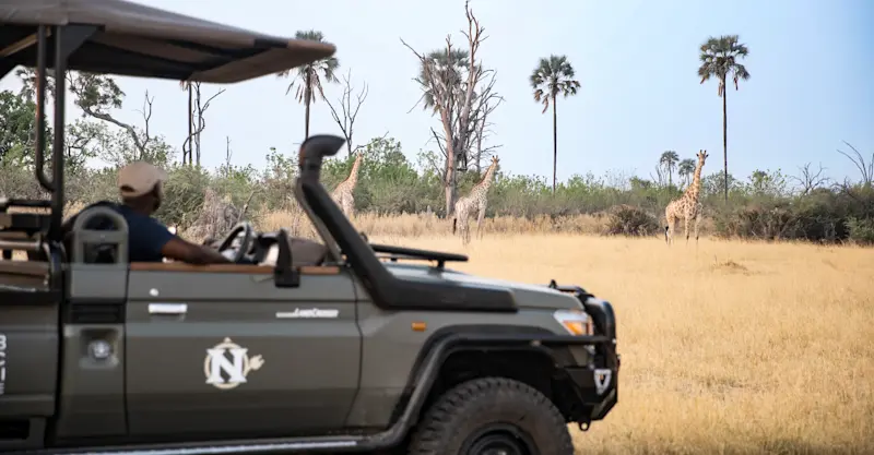 Nat Hab's Electric Safari Vehicle