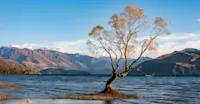 Lake Wanaka, New Zealand.