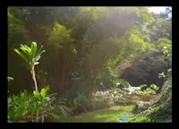 Slideshow Thumbnail 8 of 8