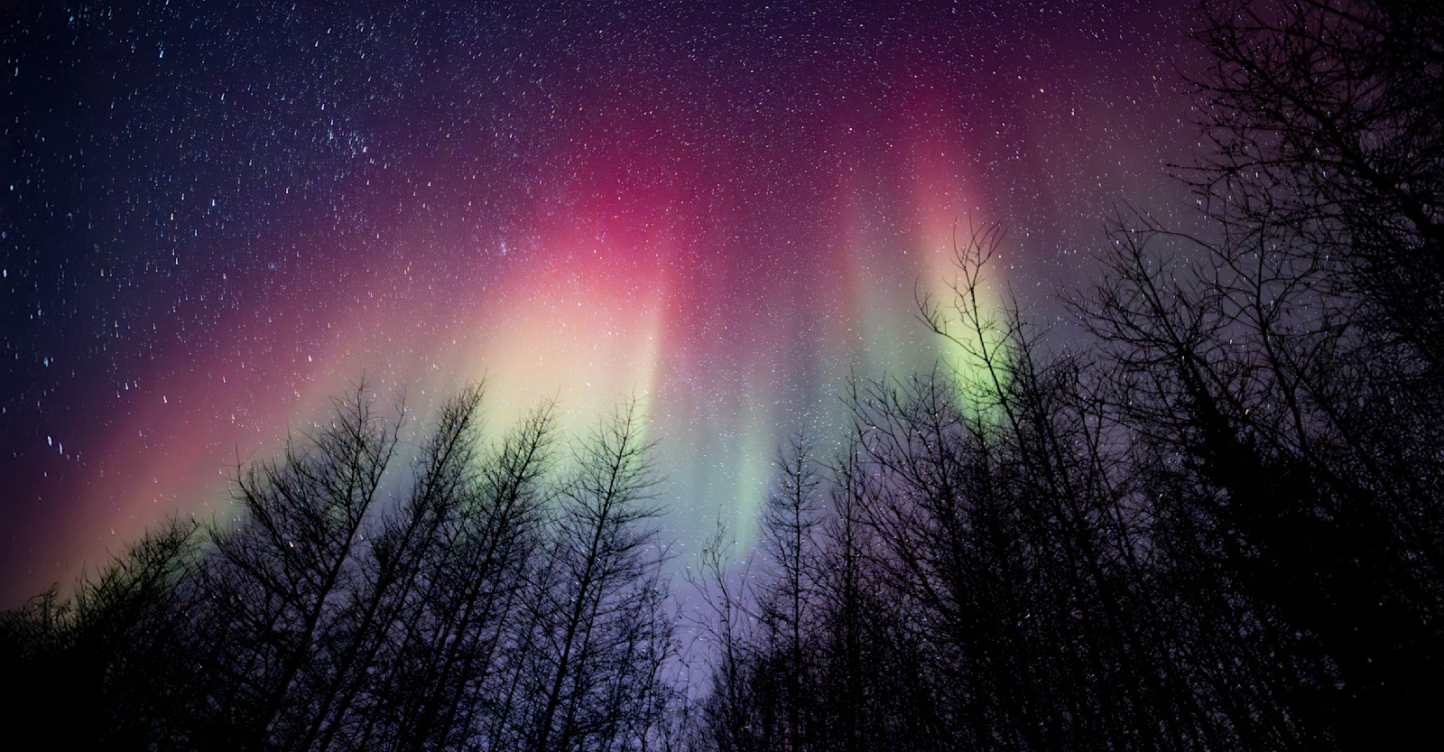 Northern lights, Churchill, Manitoba.