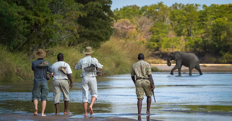 Walking safari, South Luangwa National Park, Zambia.