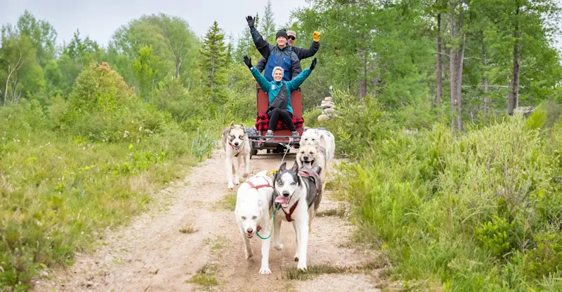 Nat Hab guests dog carting, Churchill, Manitoba.