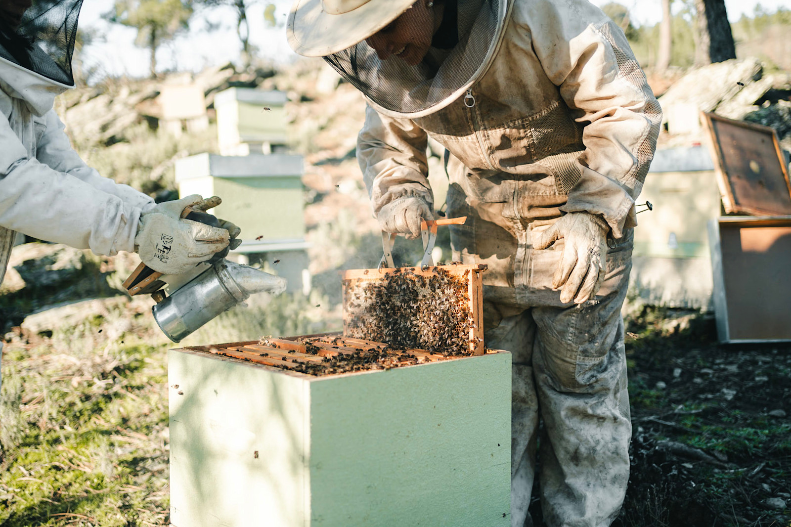 Terra Sense Retreat & Farm, Videmonte, Portugal.
