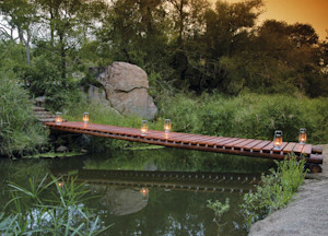 Sabi Sabi Little Bush Camp Sabi Sand Game Reserve South Africa