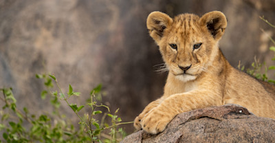 Why It Matters image