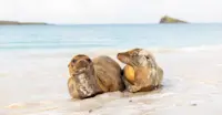 Slideshow Thumbnail 6 of 18