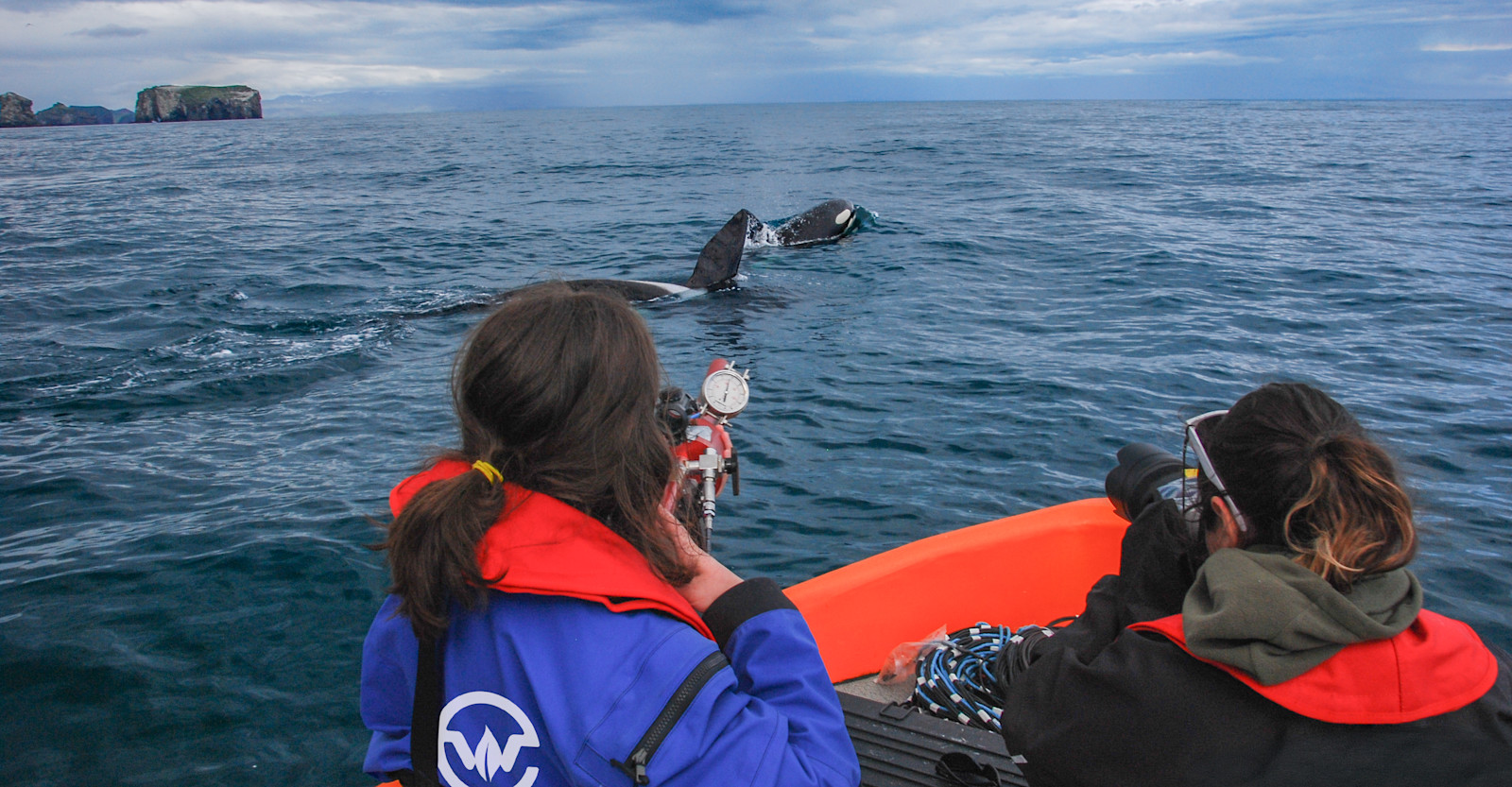 NAT-HAB-EW-Iceland-KillerWhales-Samarra Fieldwork(C) David Gaspard (002)