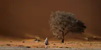 Slideshow Thumbnail 7 of 18