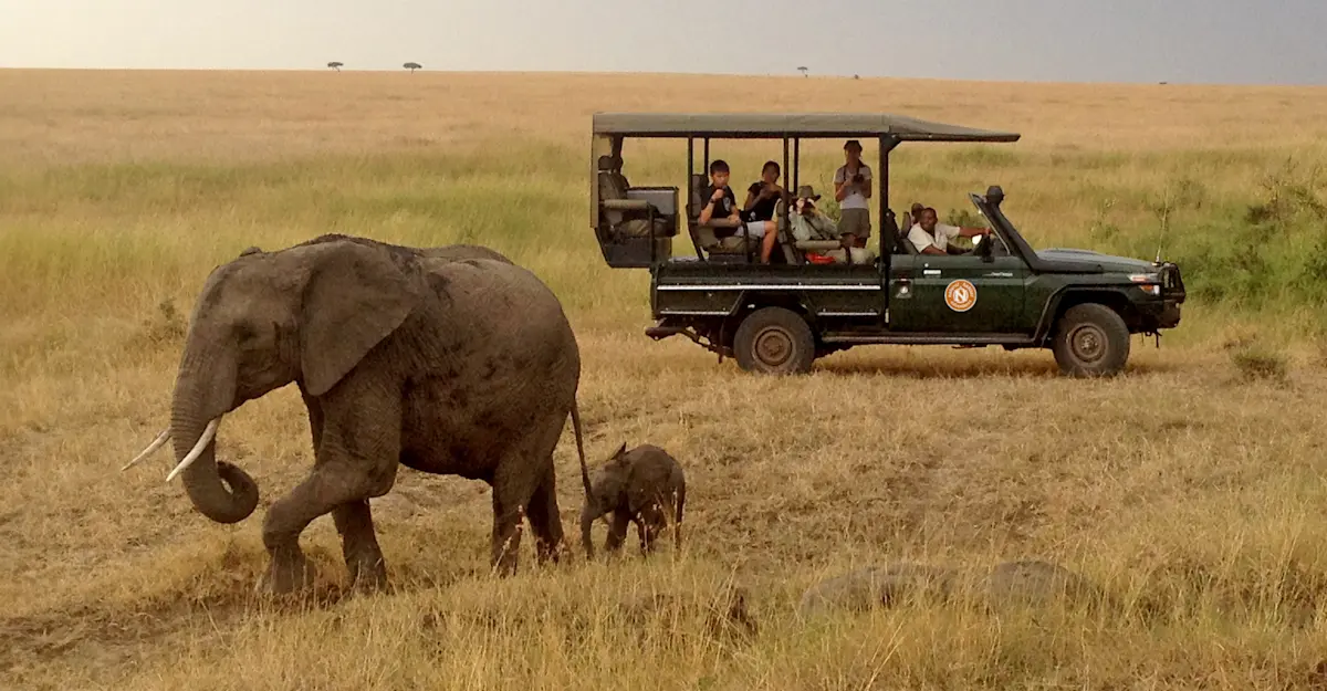 Nat Hab guests and elephants, Olderkesi Conservancy, Kenya.
